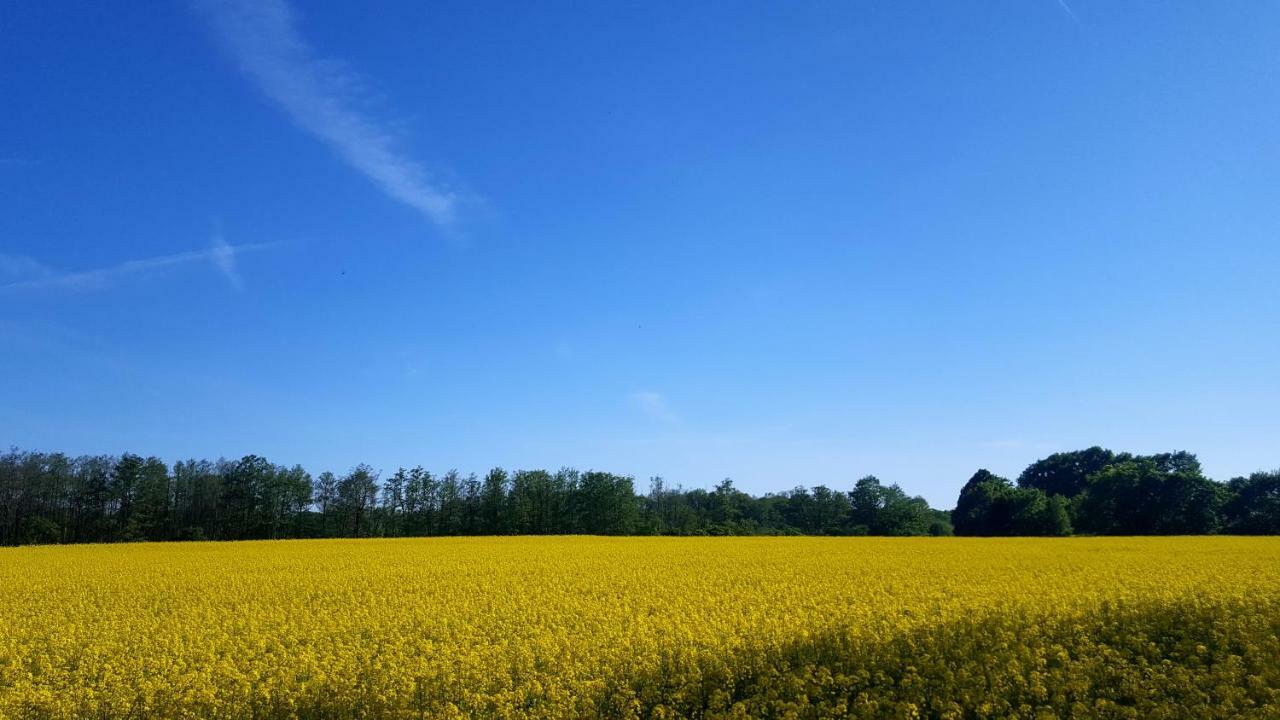 Ferienwohnung Finja In Putgarten, Kap Arkona Ruegen Exterior foto