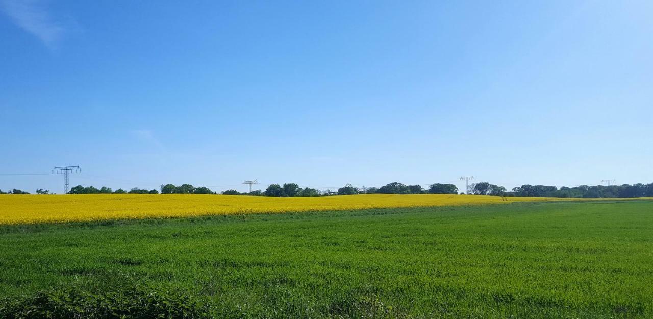Ferienwohnung Finja In Putgarten, Kap Arkona Ruegen Exterior foto